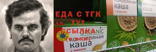 хмурый Гусь-Хрустальный