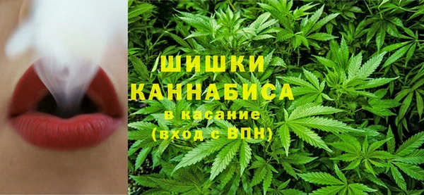 хмурый Гусь-Хрустальный