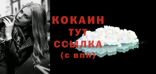 хмурый Гусь-Хрустальный