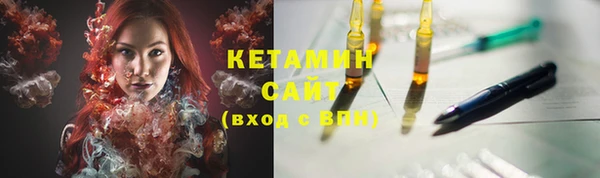 хмурый Гусь-Хрустальный