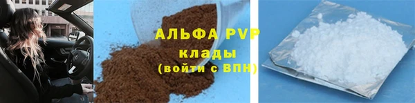 хмурый Гусь-Хрустальный