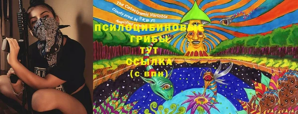 хмурый Гусь-Хрустальный