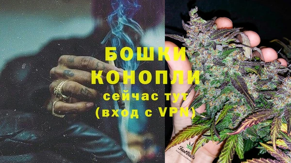 бошки Гусиноозёрск