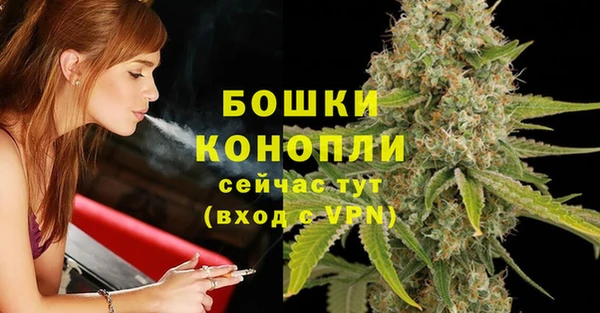 бошки Гусиноозёрск