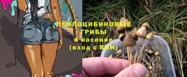 бошки Гусиноозёрск