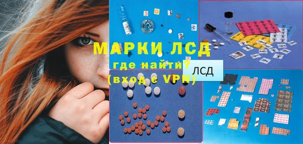 хмурый Гусь-Хрустальный