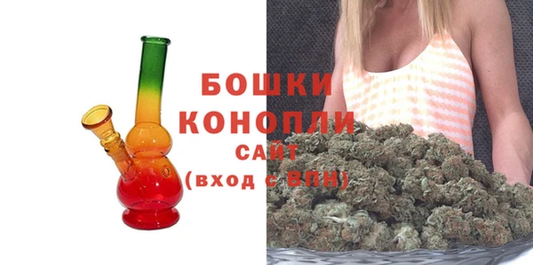 хмурый Гусь-Хрустальный