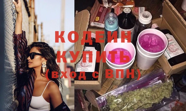 хмурый Гусь-Хрустальный