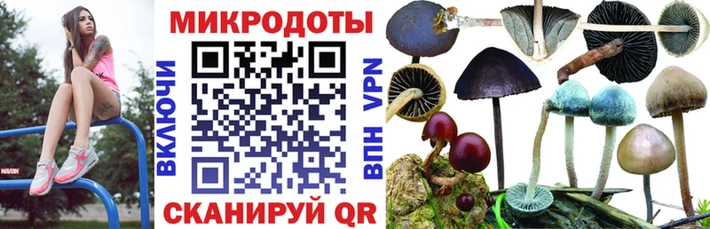 Купить закладки  Екатеринбург  Галлюциногенные грибы Psilocybine cubensis 